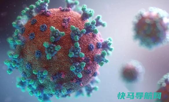 又吐又拉是甲流还是诺如病毒感染 第3张