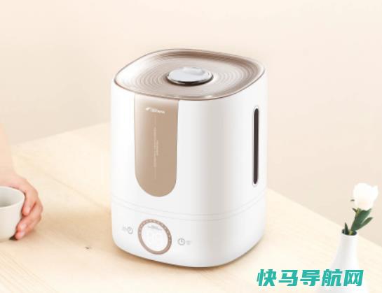 加湿器里面放柠檬片会怎么样？加湿器里面可以放柠檬片吗