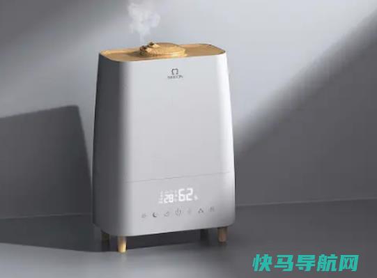 加湿器里面放柠檬片会怎么样？加湿器里面可以放柠檬片吗